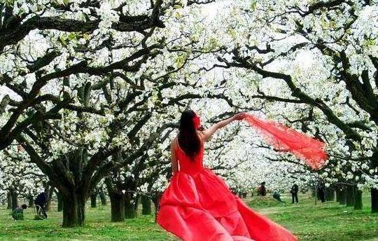 安徽以前哪两个县是江苏的,安徽一座因浙江而改名的县