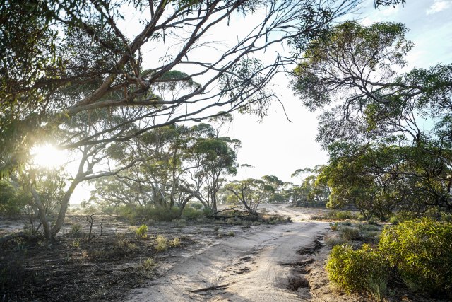 澳洲｜有人在澳大利亚住了一辈子，也没有听说过这样的生活方式
