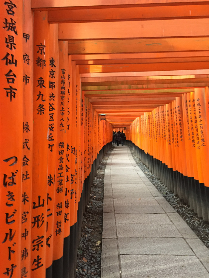 日本的冬日暖阳,日本的冰雪世界