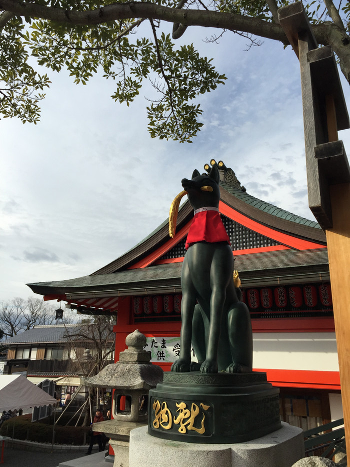 日本的冬日暖阳,日本的冰雪世界