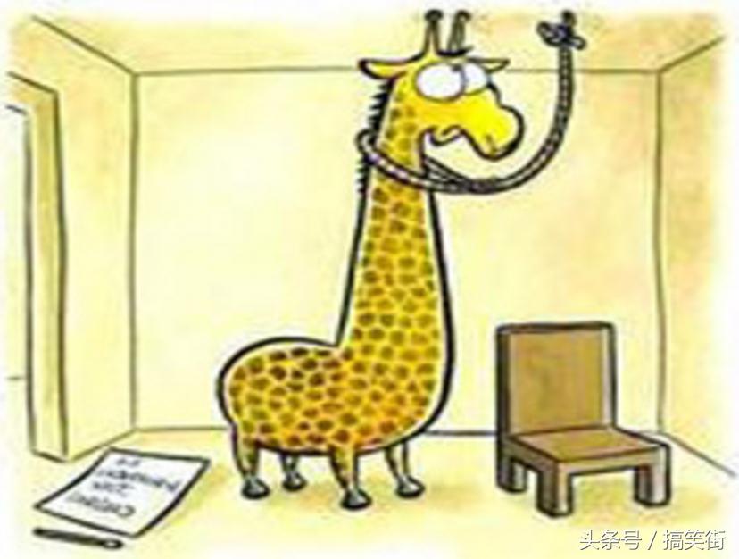 小明冷笑话大全爆笑,冷笑话小孩子