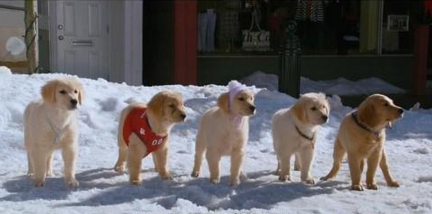 电影飞狗巴迪片段,飞狗巴迪电影中文版