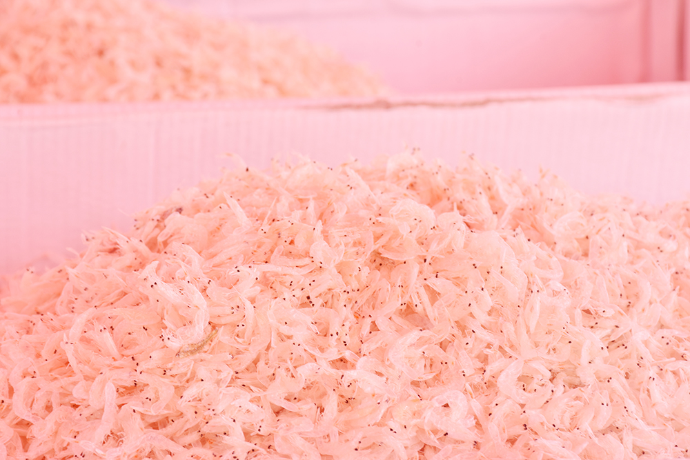 经典海鲜摄影图片,鲜活海鲜摄影技巧