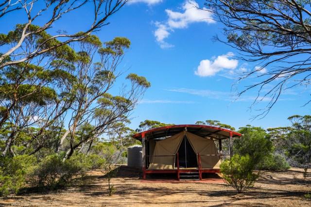 澳洲｜有人在澳大利亚住了一辈子，也没有听说过这样的生活方式