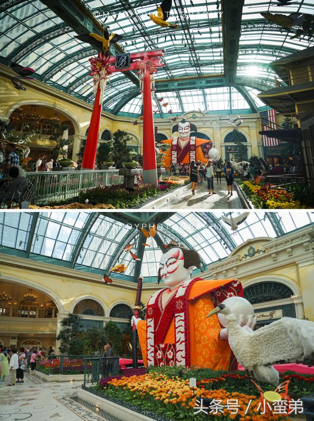 美国一周游玩攻略,美国旅游攻略拉斯维加斯