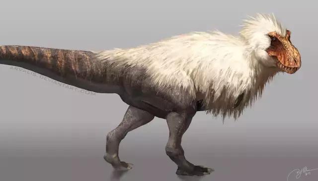 霸王龙体型,霸王龙真的长一身羽毛和厚嘴唇吗