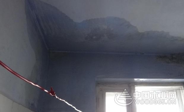 房顶漏水怎么查漏水点,房顶防水漏水找不到漏水点咋办