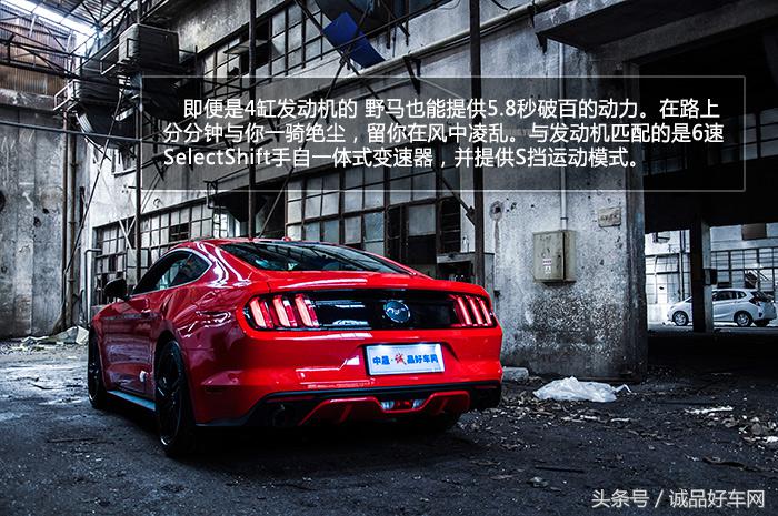 没有奔跑在草原的野马，成了男人心口的朱砂痣