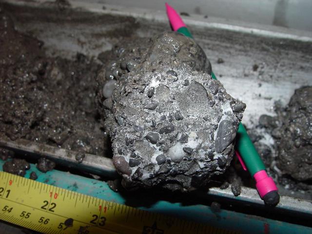 鍐板窛閲婃斁鐢茬兎,鍖楁瀬鍐板窛鍙戠幇鐢茬兎