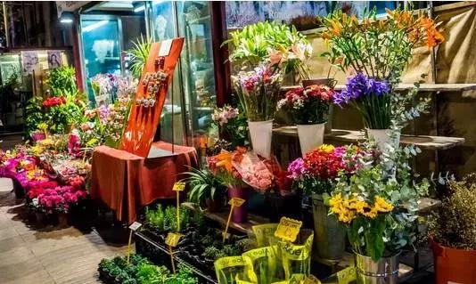 新娘手捧花20朵玫瑰代表什么,几支玫瑰花的寓意是什么呢