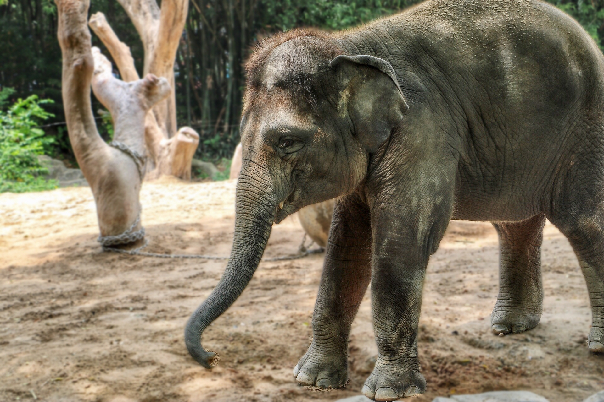 一月广州长隆野生动物园游玩攻略,长隆海洋王国不可错过