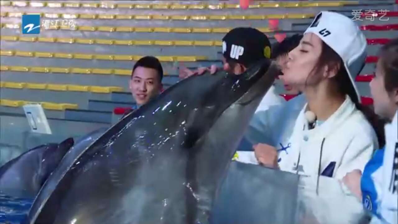 热巴和鹿晗cp超燃视频,热巴和鹿晗视频混剪