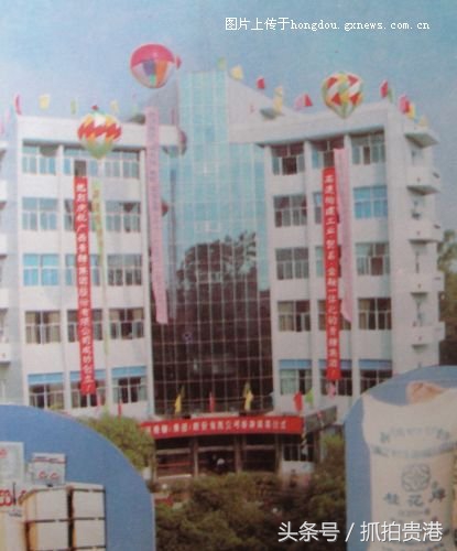 网眼看创城,网眼看长安