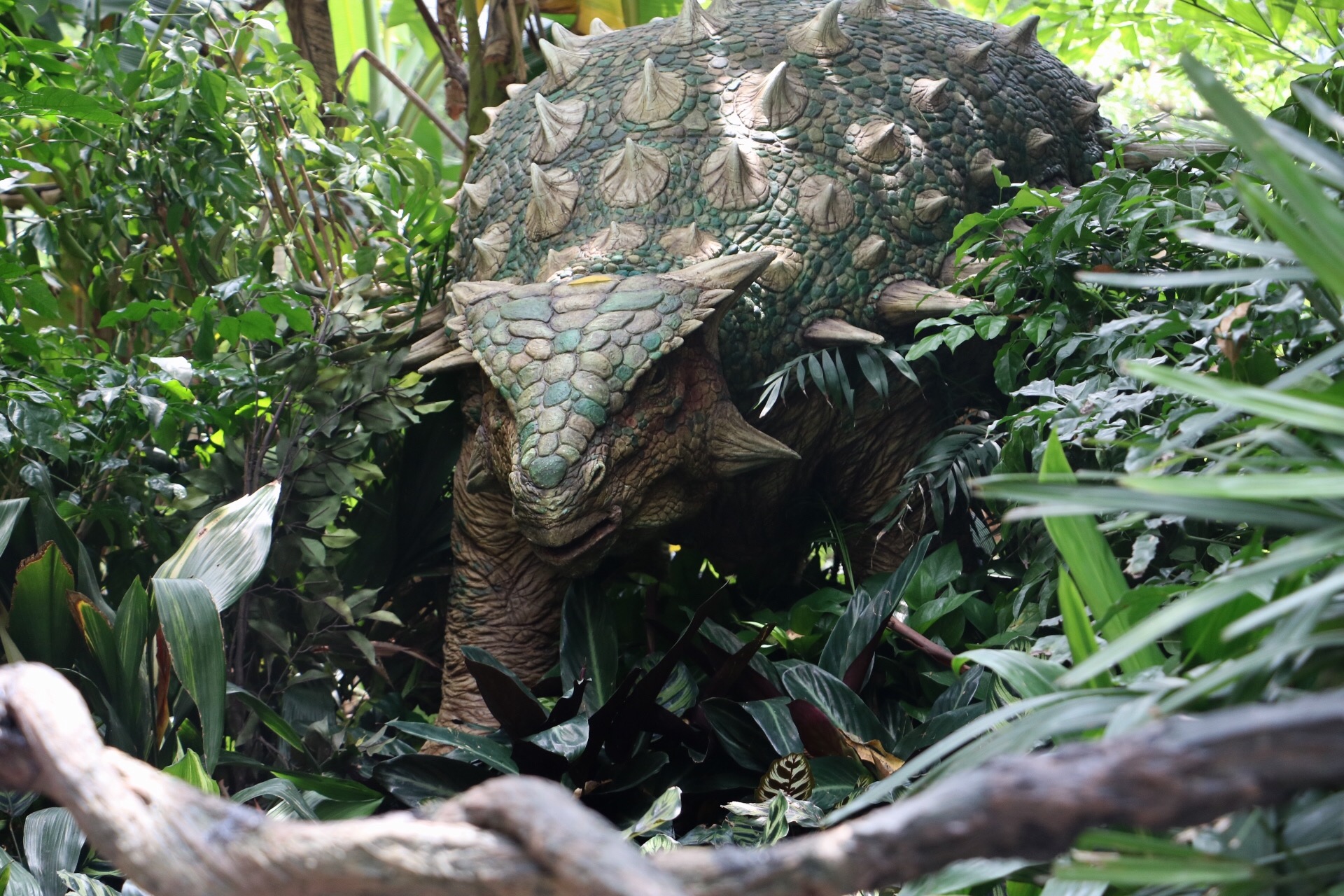 一月广州长隆野生动物园游玩攻略,长隆海洋王国不可错过