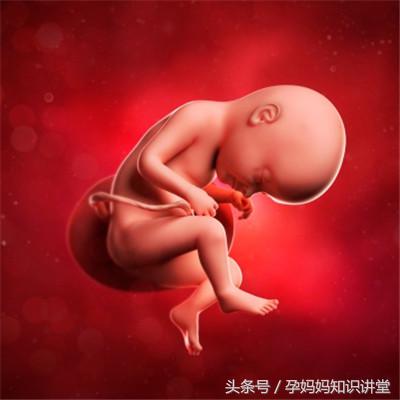 孕期胎儿最怕的9件事,孕期如何判断胎儿安危
