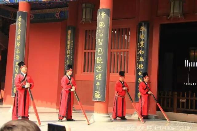 厉害了我的哥网易,厉害了我的哥素材