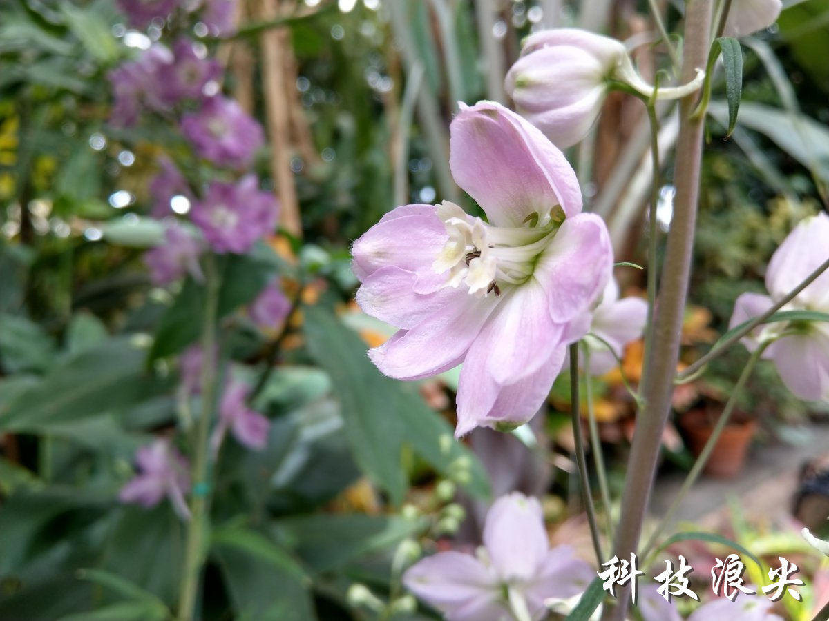 htcu11和u11+区别,htcu11详细参数