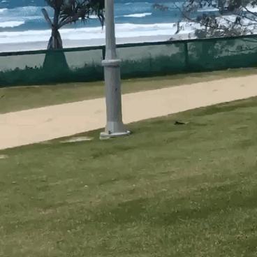 藤椅好漂亮，哪买的？不知道能不能撑起两个人啊