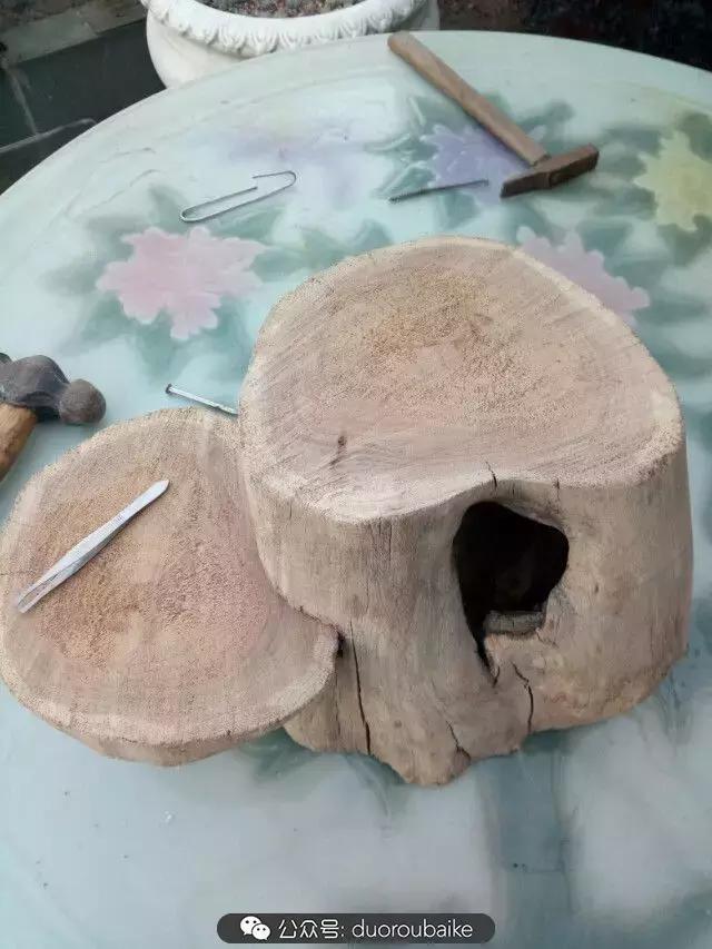 用多肉做花的方法,多肉植物自制方法