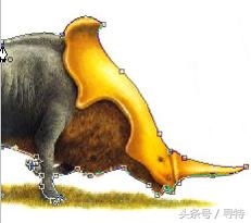 photoshopcs6没法用,photoshopcs6能做出什么效果