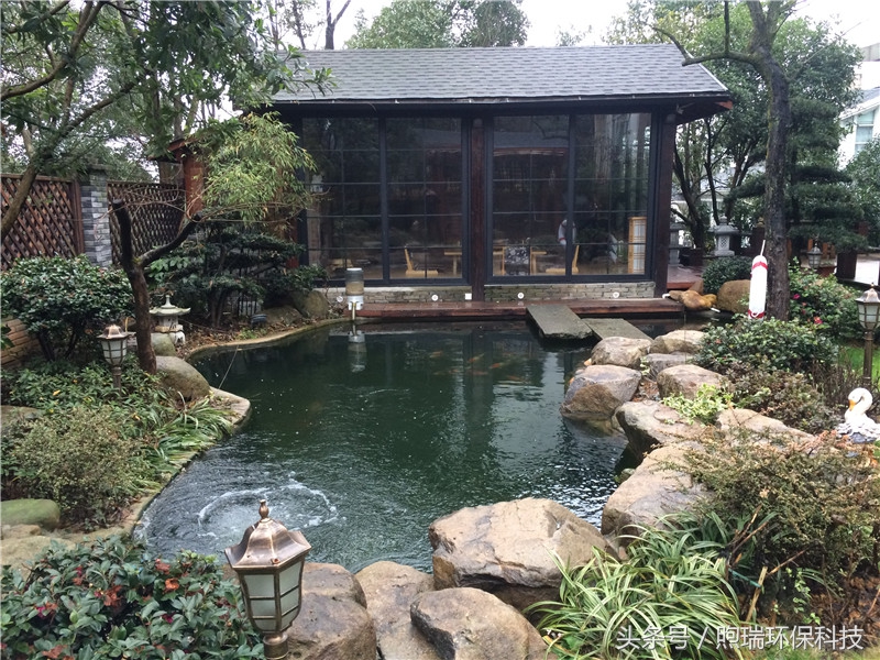 我宁愿化做池塘里的一尾锦鳞,不畏浮云,不惧声色,不问世俗!