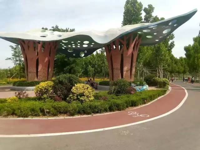 张文德北京,张文德骑行全过程