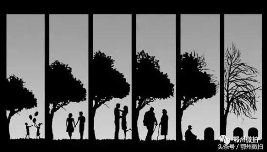 1999年出生的人活了多少天了,致敬1990年到1999年出生的人