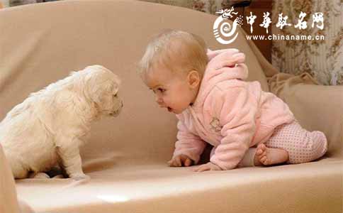 莉莉小名好还是小莉小名好听,女孩小名好听不重名又成熟的小名