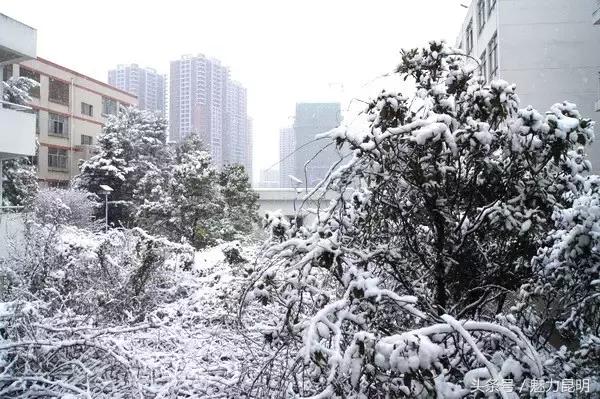 昆十四中老照片,昆十四中