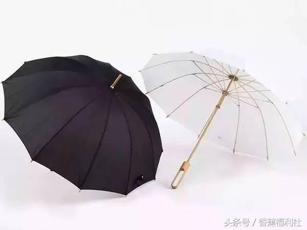 连雨伞都如此有身段,下雨天不带它们出门都说不过去!