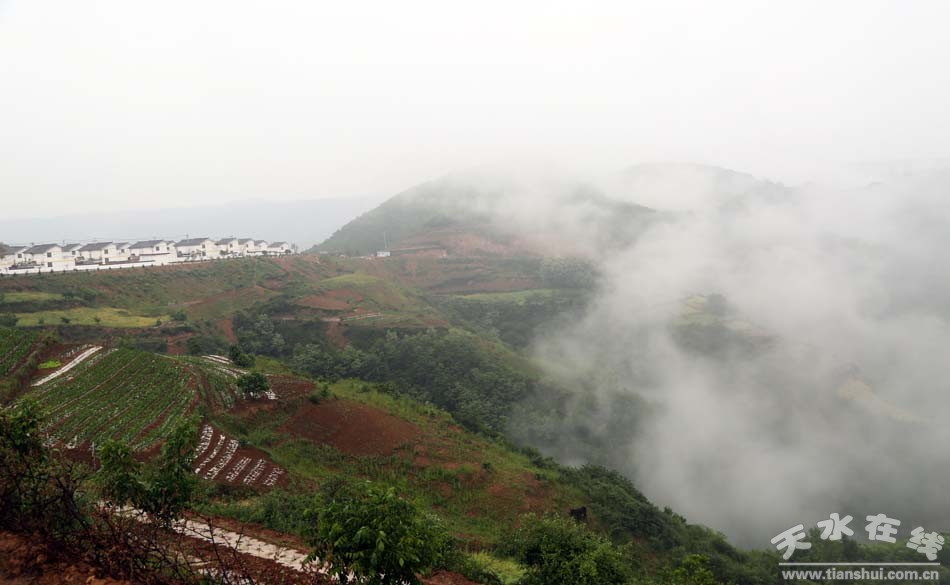 天水乡村田园风景图,天水农村自然美景