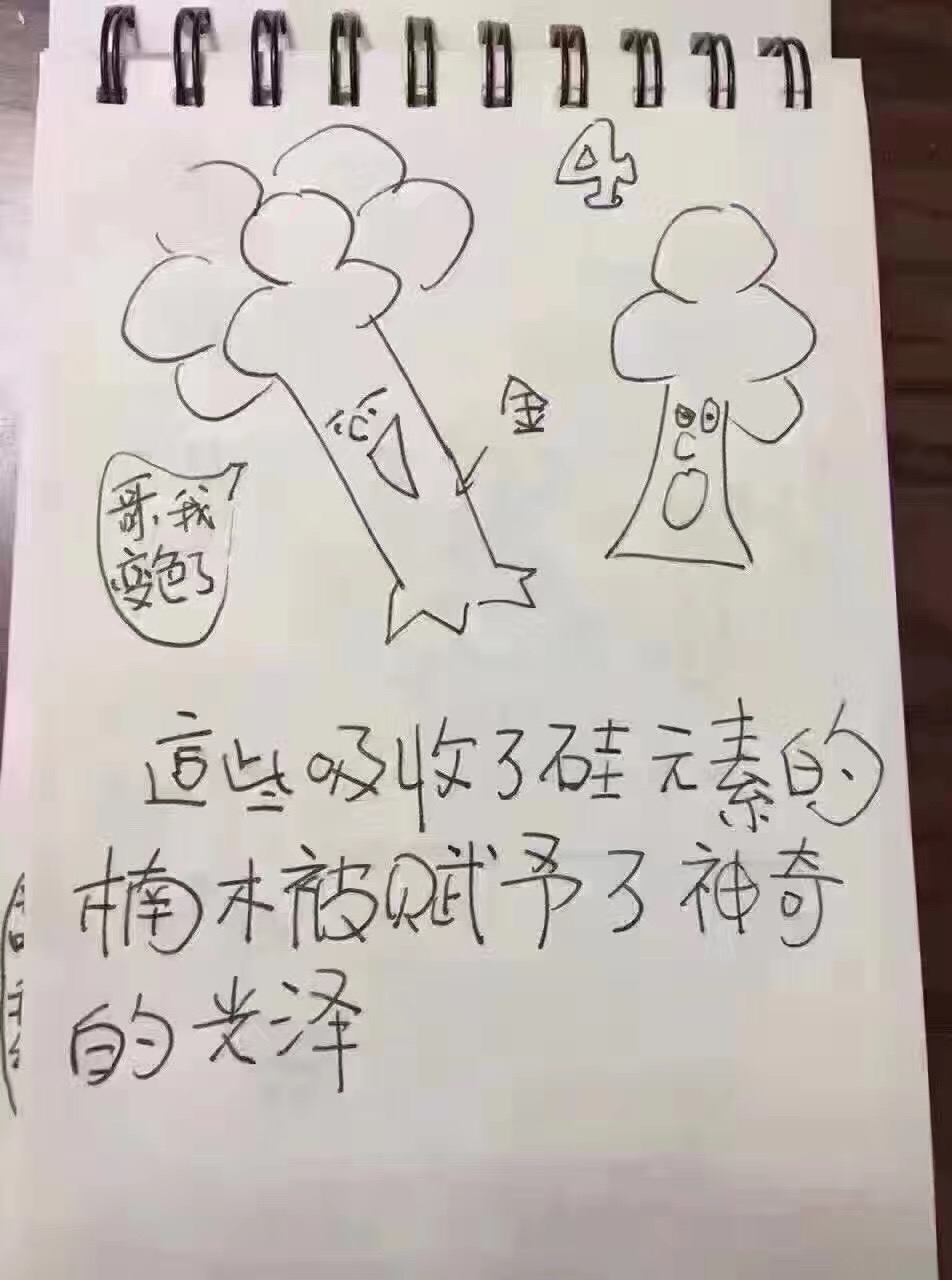 金丝楠乌木是怎么形成的,金丝楠木为什么会变成乌木