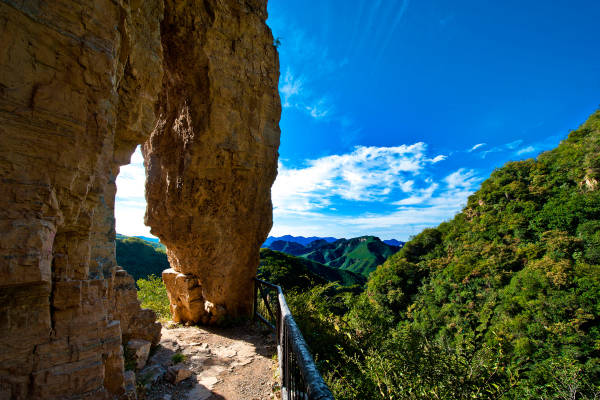 不服不行想办法,不服不行乐视