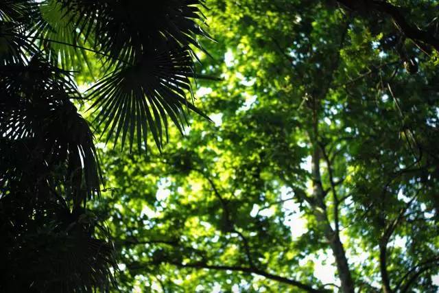 快乐就是无拘无束,快乐就是肆意妄为