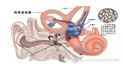 眩晕太可怕,有谁知道眩晕症是怎么回事吗