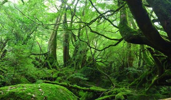 日本绝景精选,日本十大美景排行榜