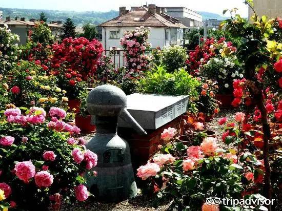 六月不热海边旅游推荐,夏季炎热适合去哪里旅游