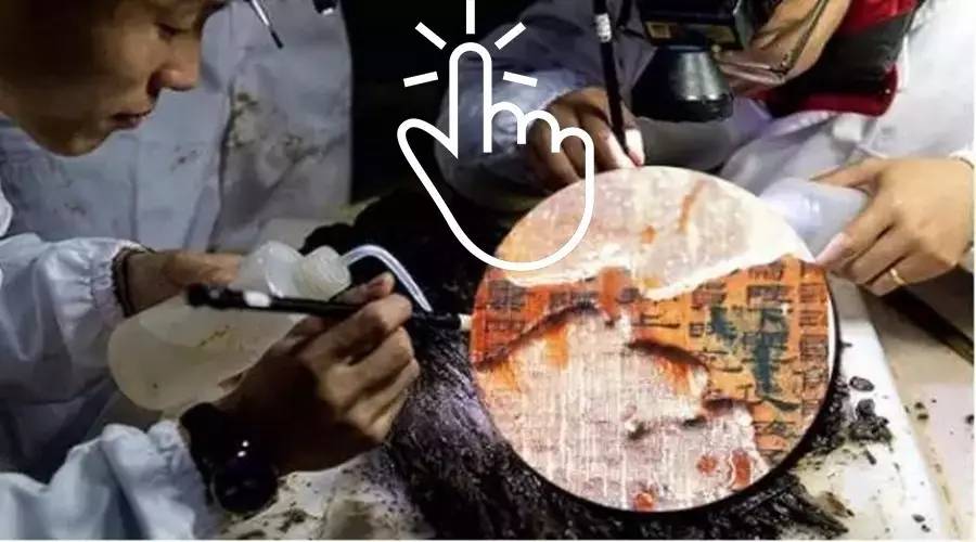 它是天然长寿菜抗癌防衰老多吃点,被称为长寿菜的它夏天吃胜过补药