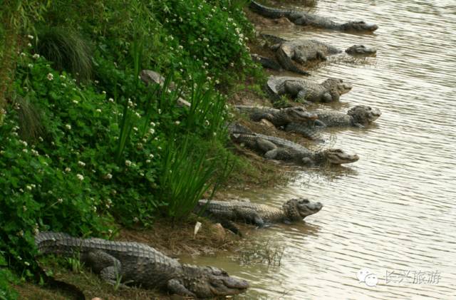 长兴一不小心,湖州长兴成了“中国最美休闲胜地”!