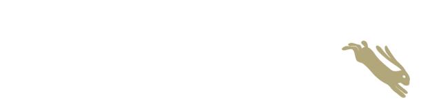 亲子趣味运动会活动方案,幼儿园春季亲子运动会布置