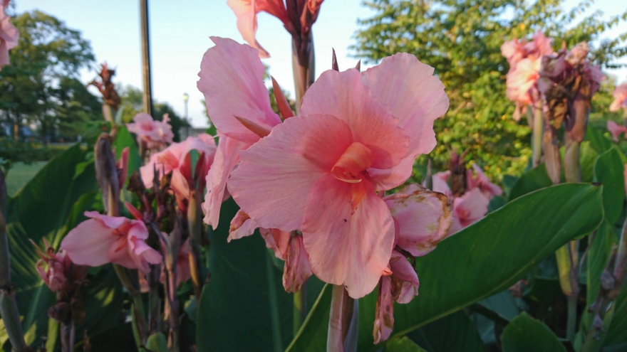 小内存能否大发挥？索尼XperiaXZ详细测评