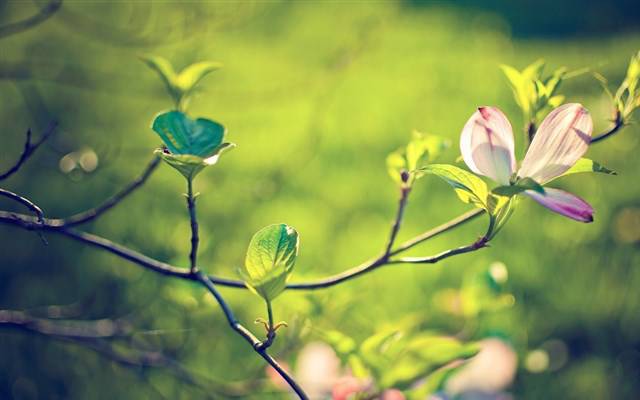 换季大作战护肤品怎么样,换季大作战新皮肤