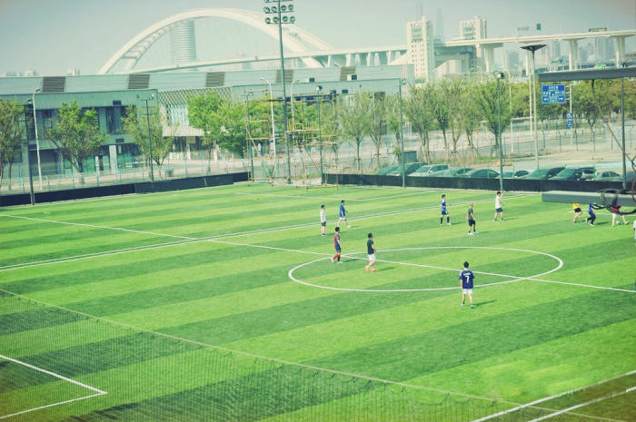上海哪里有足球场草坪,上海足球场草坪哪家好