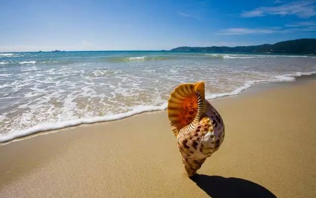 中国旅游100强排名,国内十大必去旅游胜地排名