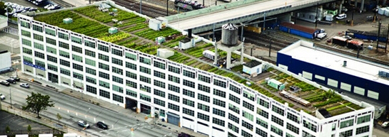 惊险高楼攀爬视频,最牛逼的楼顶花园