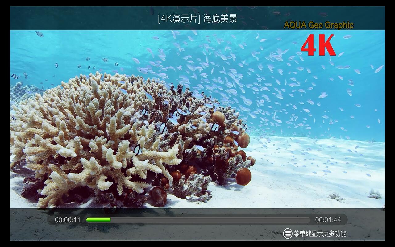 芝杜z1000pro和开博尔q10哪个好,开博尔8k评测