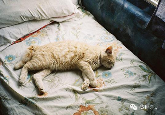 千万不要酱紫放床