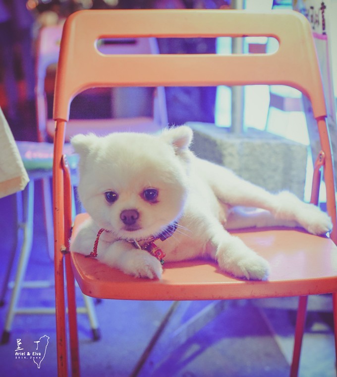 2017台北高雄垦丁花莲之旅,台北花莲垦丁自由行攻略