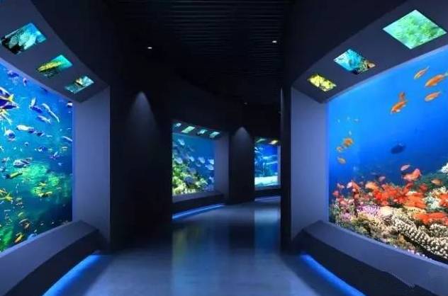 河北带孩子去最好玩的游乐场,河北最大的儿童室内游乐场