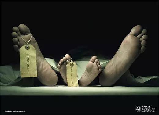 世界无烟日｜一张图片就能戒烟，就看你敢不敢看了！